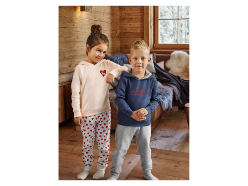 Спортивні штани 110-116 см (4-6 years)  Джоггеры з начосом для хлопчика Lupilu 392617 сірий 91082