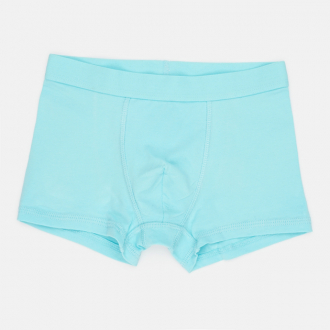 Трусики 146-152 см (10-12 years)   -боксери для хлопчика H&M 0785948-2 бірюза 90546