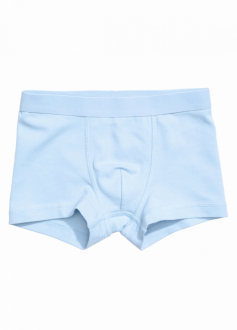 Трусики 110-116 см (4-6 years)   -боксери для хлопчика H&M 0785948 блакитний 90478