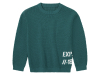 Джемпер в'язаний для хлопчика Lupilu 416670 110-116 см (4-6 years) зелений  87142