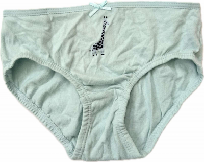 Трусики 098-104 см (2-4 years)   сліпи для дівчинки H&M 0624543-094 блакитний 90670