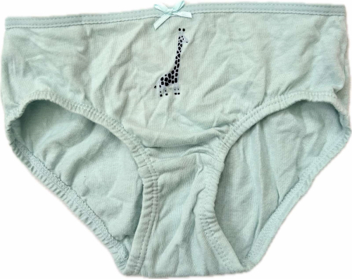 Трусики 098-104 см (2-4 years)   сліпи для дівчинки H&amp;M 0624543-094 блакитний 90670