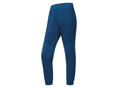 Спортивні штани XL  Джоггеры Softshell / Софтшелл для чоловіка Crivit 424562 синій 83577