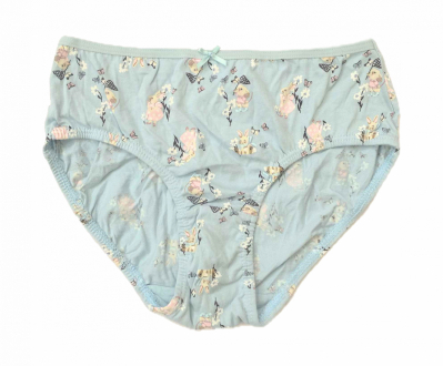 Трусики 122-128 см (6-8 years)   сліпи для дівчинки H&M 0530235-057 блакитний 90661