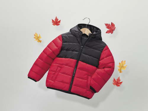 Куртка демісезонна 110 см (4-5 years)   з капюшоном для хлопчика Lupilu 418823 червоний 87088