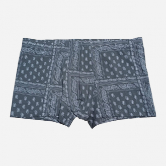Труси -боксери для чоловіка H&M 0564310068 38 / M сірий  85921