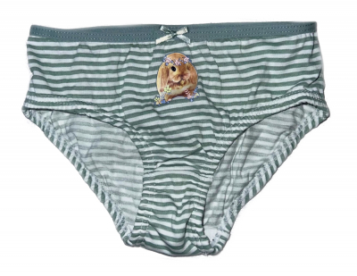 Трусики 092 см (18-24 months)   сліпи для дівчинки H&M 0530235-044 зелений 90829