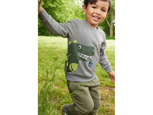 Світшот утеплений для хлопчика Lupilu 382071 086-92 см (12-24 months) сірий  78591