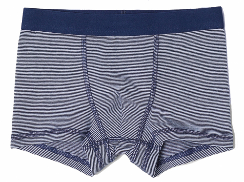 Трусики  для хлопчика H&amp;M 0658601007 110-116 см (4-6 years) темно-синій 60544