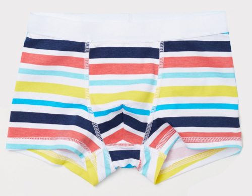 Трусики  для хлопчика H&amp;M 0658601004 098-104 см (2-4 years) Різнобарвний 56931