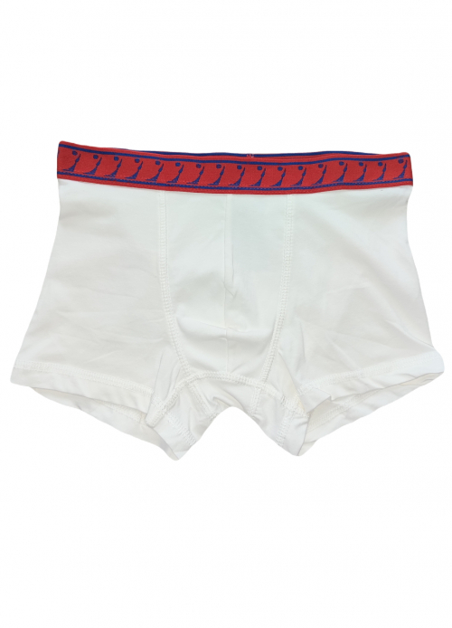 Трусики 134-140 см (8-10 years)   -боксери для хлопчика H&amp;M 1084024 білий 76660