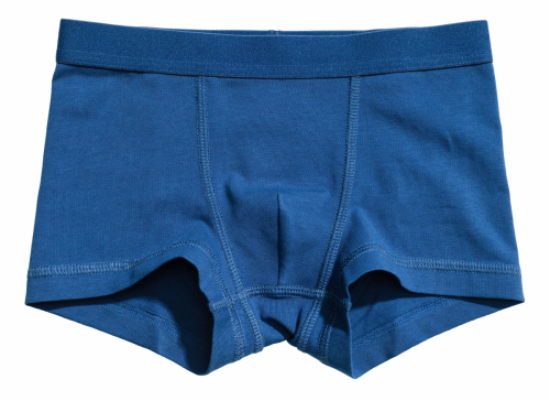 Трусики  для хлопчика H&amp;M 0485539043 092 см (18-24 months) синій 61608