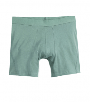 Труси -боксери однотонні для чоловіка H&M 1070271-006 36 / S зелений  85886