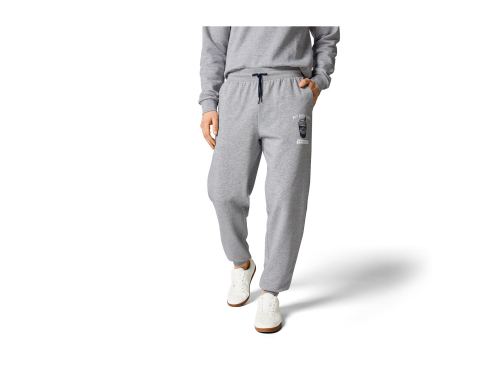 Спортивні штани S  Regular Fit флісові для чоловіка Livergy 498134 сірий 83986