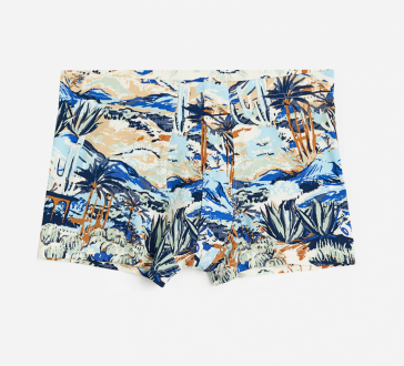 Труси XL   -боксери для чоловіка H&M 0564310 Різнобарвний 85884