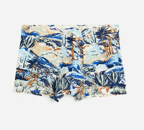 Труси XL   -боксери для чоловіка H&amp;M 0564310 Різнобарвний 85884