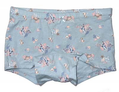 Трусики (дитячі) -боксери для дівчинки H&M 0688916-124 134-140 см (8-10 years) блакитний  90794