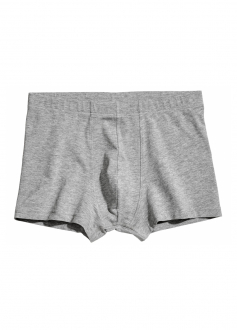 Труси S   -боксери для чоловіка H&M 0508993001 сірий 59795