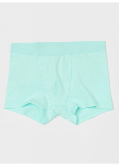 Трусики 122-128 см (6-8 years)   -боксери однотонні для хлопчика H&M 0785948-036 бірюза 83060