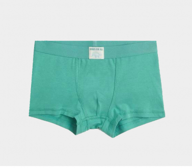 Трусики 092 см (18-24 months)   -боксери однотонні для хлопчика H&M 0785948-5 зелений 90586