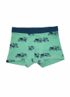 Трусики 122-128 см (6-8 years)   -боксери для хлопчика H&M 0767126-037 зелений 90458
