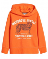 Худі 092 см (18-24 months)   з начосом для хлопчика H&M 0575530 помаранчевий 85687