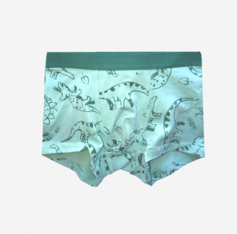 Трусики 092 см (18-24 months)   -боксери для хлопчика H&M 0785948-5 бірюза 90587
