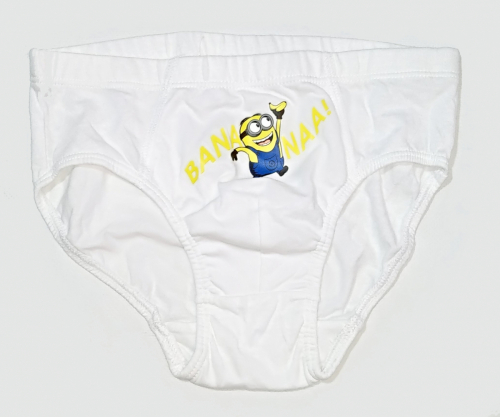 Трусики  для хлопчика H&amp;M 0445241 110 см (4-5 years) білий 60887