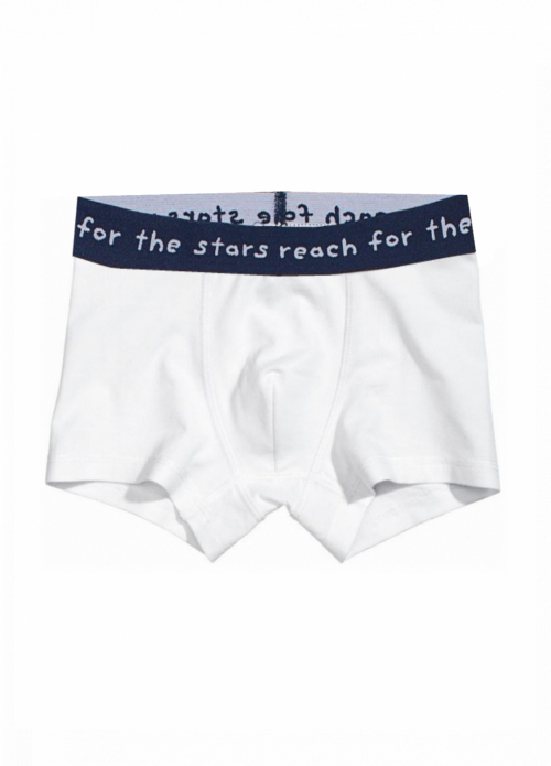 Трусики (дитячі) -боксери для хлопчика H&amp;M 0767126-036 110-116 см (4-6 years) білий  90485