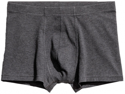 Труси S   -боксери для чоловіка H&M 0564309001 сірий 59743