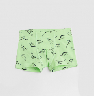 Трусики 098-104 см (2-4 years)   -боксери для хлопчика H&M 0939326-6 зелений 90455