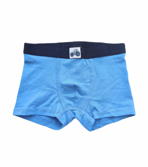 Трусики (дитячі) -боксери для хлопчика H&M 0767126-053 110-116 см (4-6 years) блакитний  90473