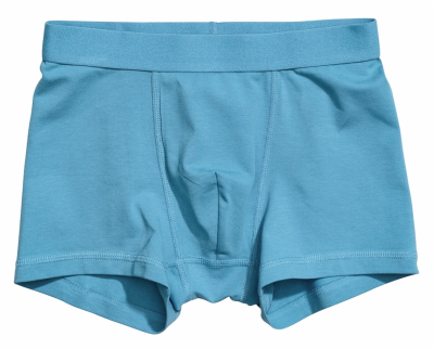 Трусики 110-116 см (4-6 years)   -боксери для хлопчика H&M 0767126-040 бірюза 90480
