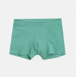 Трусики 146-152 см (10-12 years)   -боксери однотонні для хлопчика H&M 0940432-001 зелений 90572