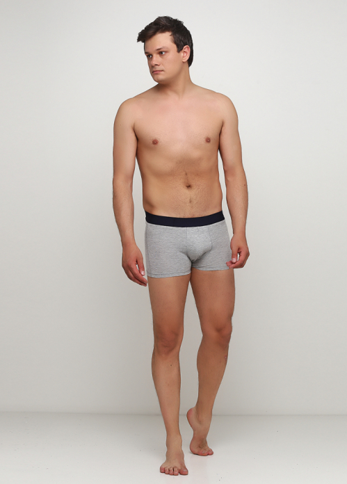 Труси   H&amp;M 0564312002 40 / L сірий 59866
