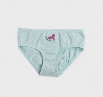 Трусики 098-104 см (2-4 years)   сліпи для дівчинки H&M 0624543-094 бірюза 83248