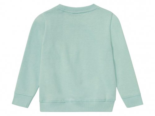 Світшот з начосом для хлопчика Lupilu 392617 110-116 см (4-6 years) бірюза  90233
