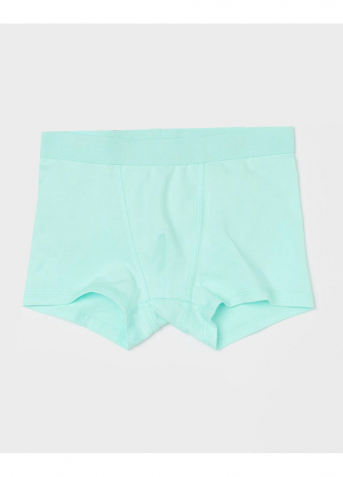 Трусики 158-164 см (12-14 years)   -боксери для хлопчика H&amp;M 0785948-036 бірюза 90596