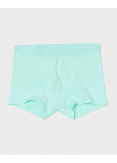 Трусики 110-116 см (4-6 years)   -боксери однотонні для хлопчика H&M 0785948-036 бірюза 75905