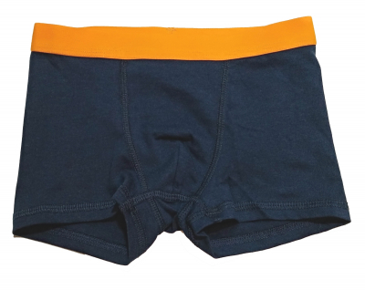 Трусики 122-128 см (6-8 years)   -боксери для хлопчика H&M 0748516001 темно-синій 62969