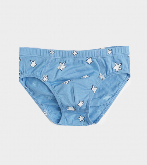 Трусики 110-116 см (4-6 years)   сліпи для хлопчика H&M 0937123-017 синій 90482