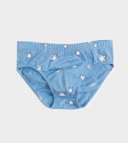 Трусики 110-116 см (4-6 years)   сліпи для хлопчика H&amp;M 0937123-017 синій 90482