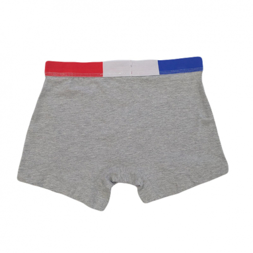 Труси XL   -боксери для чоловіка Lidl 456812 сірий 88754
