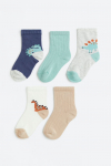Шкарпетки 13-15   набір 5 пар. для хлопчика H&M 1075330-012 Різнобарвний 81016