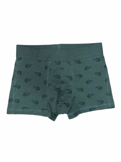 Труси -боксери для чоловіка H&M 1040409-5 36 / S хакі  85939