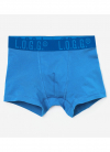 Трусики 146-152 см (10-12 years)   -боксери для хлопчика H&M 0713774-082-1 синій 90534
